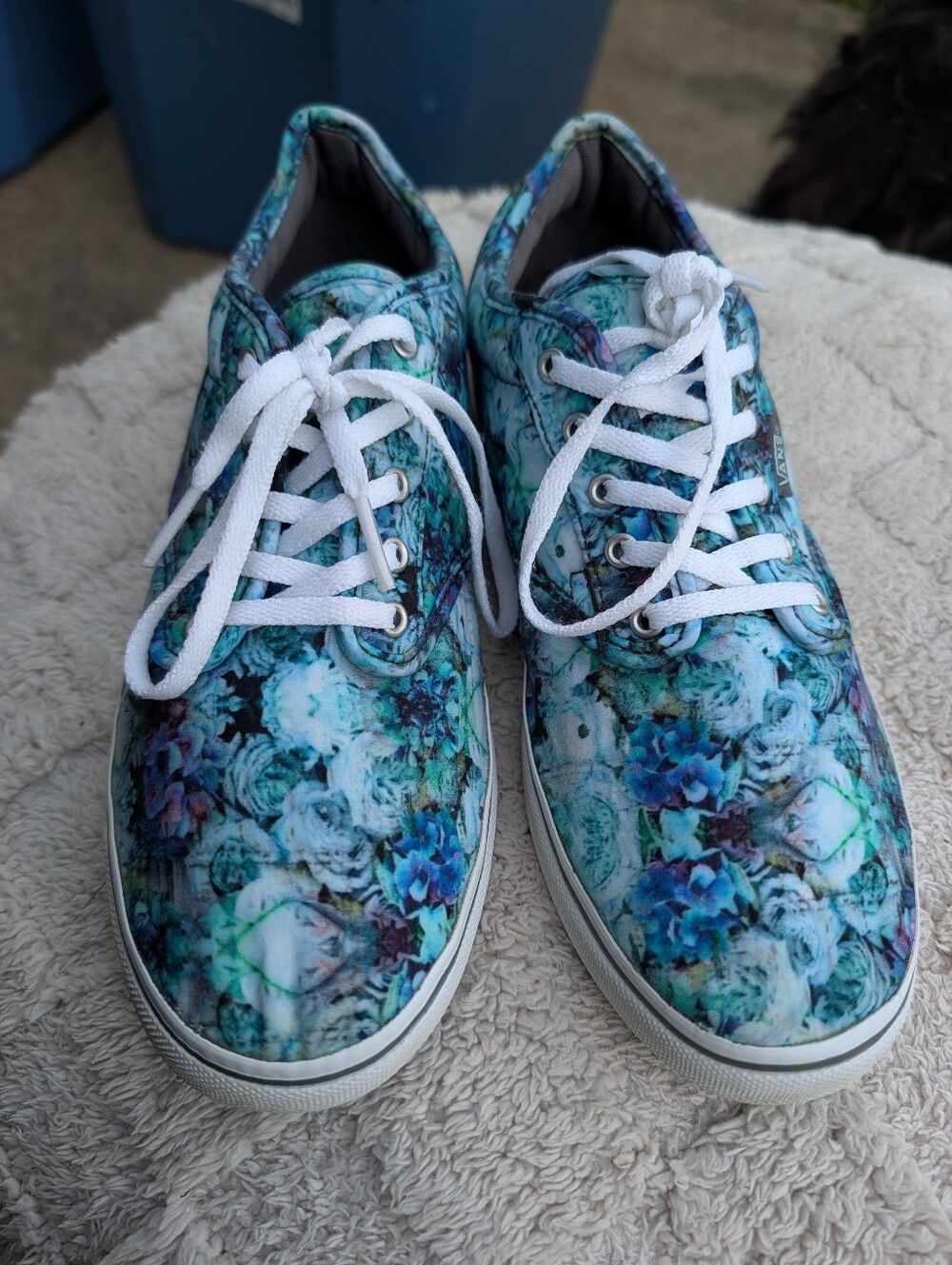 Women's Floral Print Canvas Vans Sneakers Size 8.5
